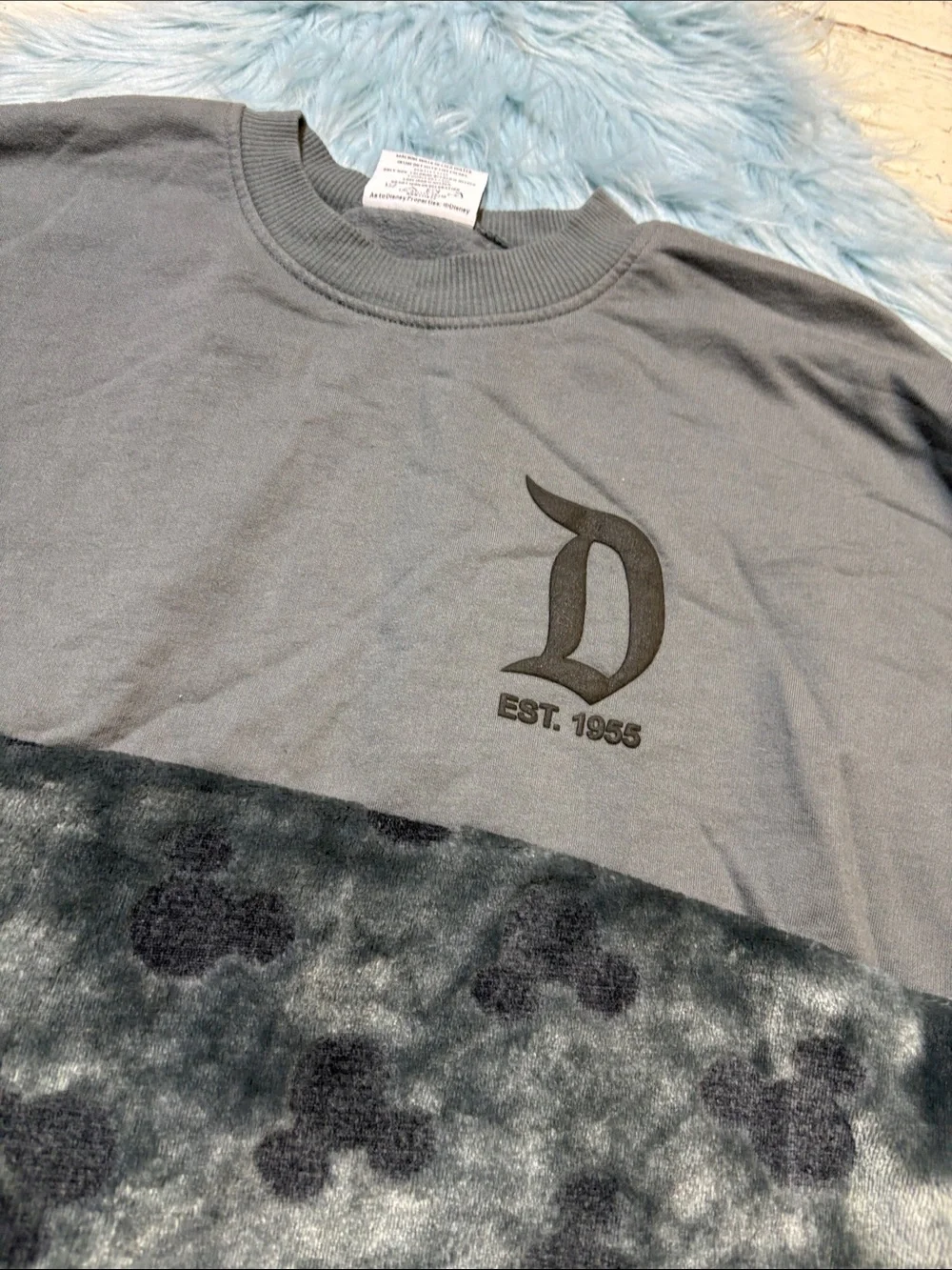 SPIRIT JERSEY disneyland resort